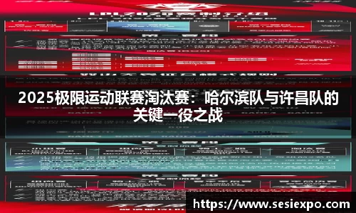 2025极限运动联赛淘汰赛：哈尔滨队与许昌队的关键一役之战