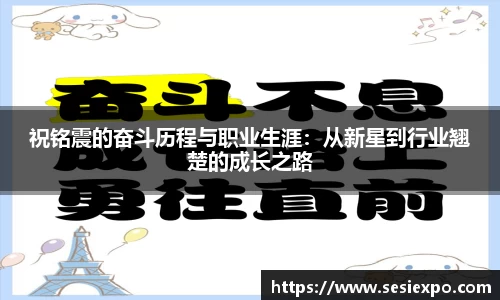 祝铭震的奋斗历程与职业生涯：从新星到行业翘楚的成长之路